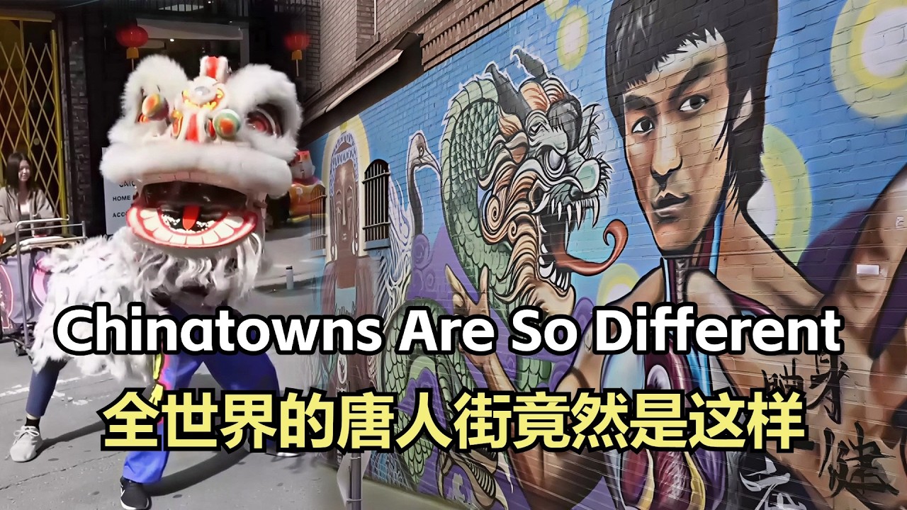从旧金山到东南亚：华人如何在世界各地扎根？ | 全球华人聚集地合集（二） 鞋底Xiedi