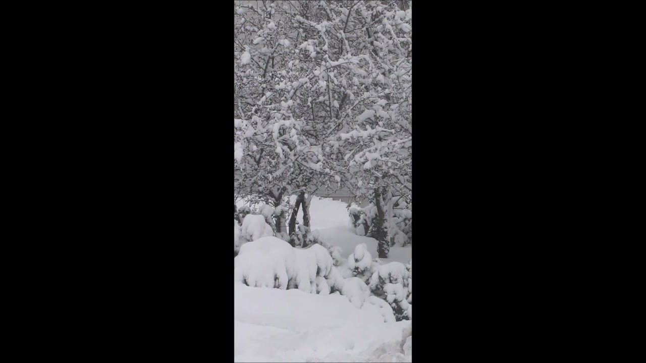 Eero Magga - Lapin kulta..🎵💖