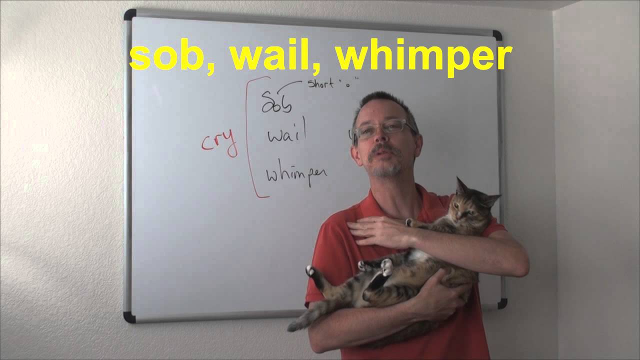 Learn English: Daily Easy English Expression 0533: sob VS wail VS whimper