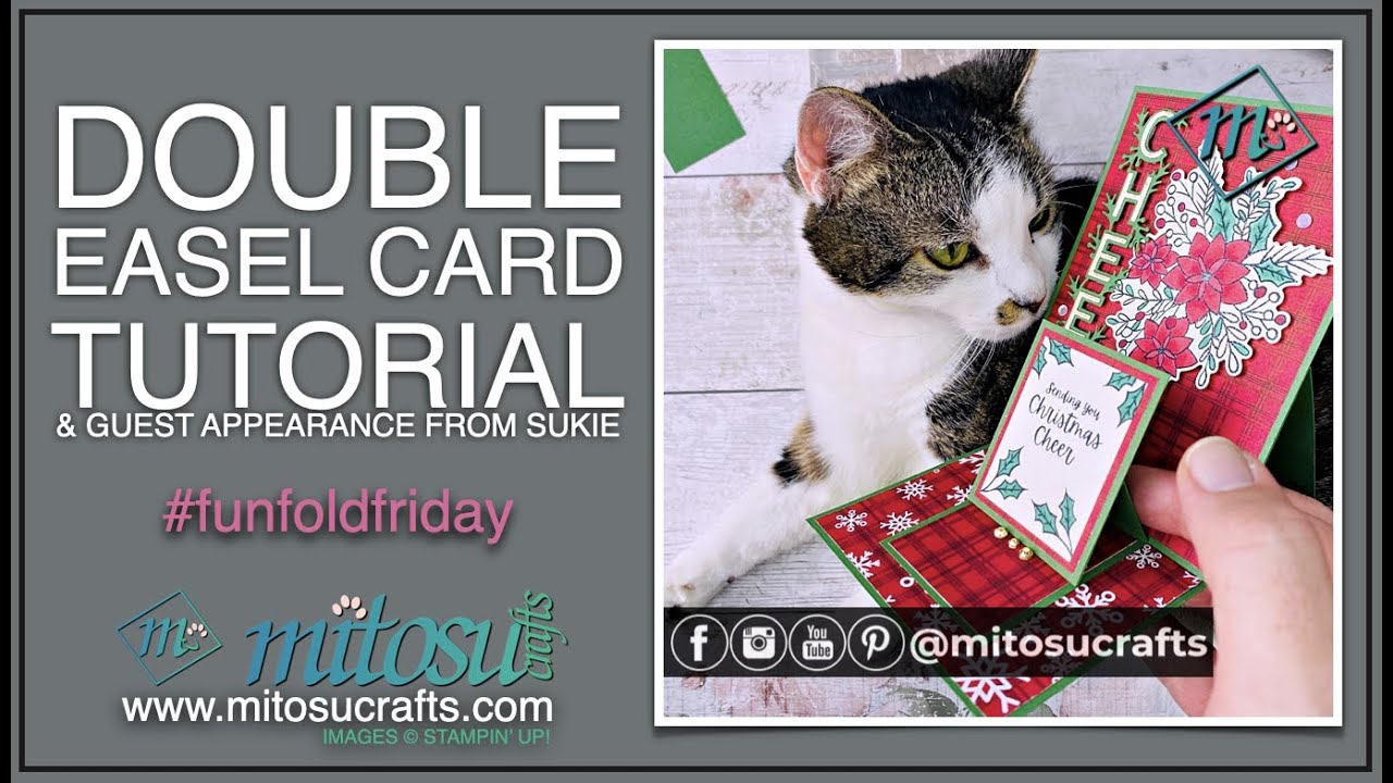 Double Easel Card with Words Of Cheer Stamp Set | #funfoldfriday