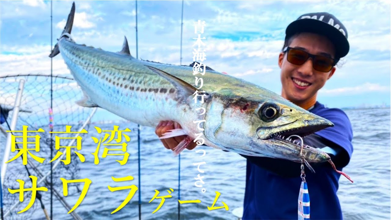 【サワラキャスティング】秋の東京湾がヤバい！