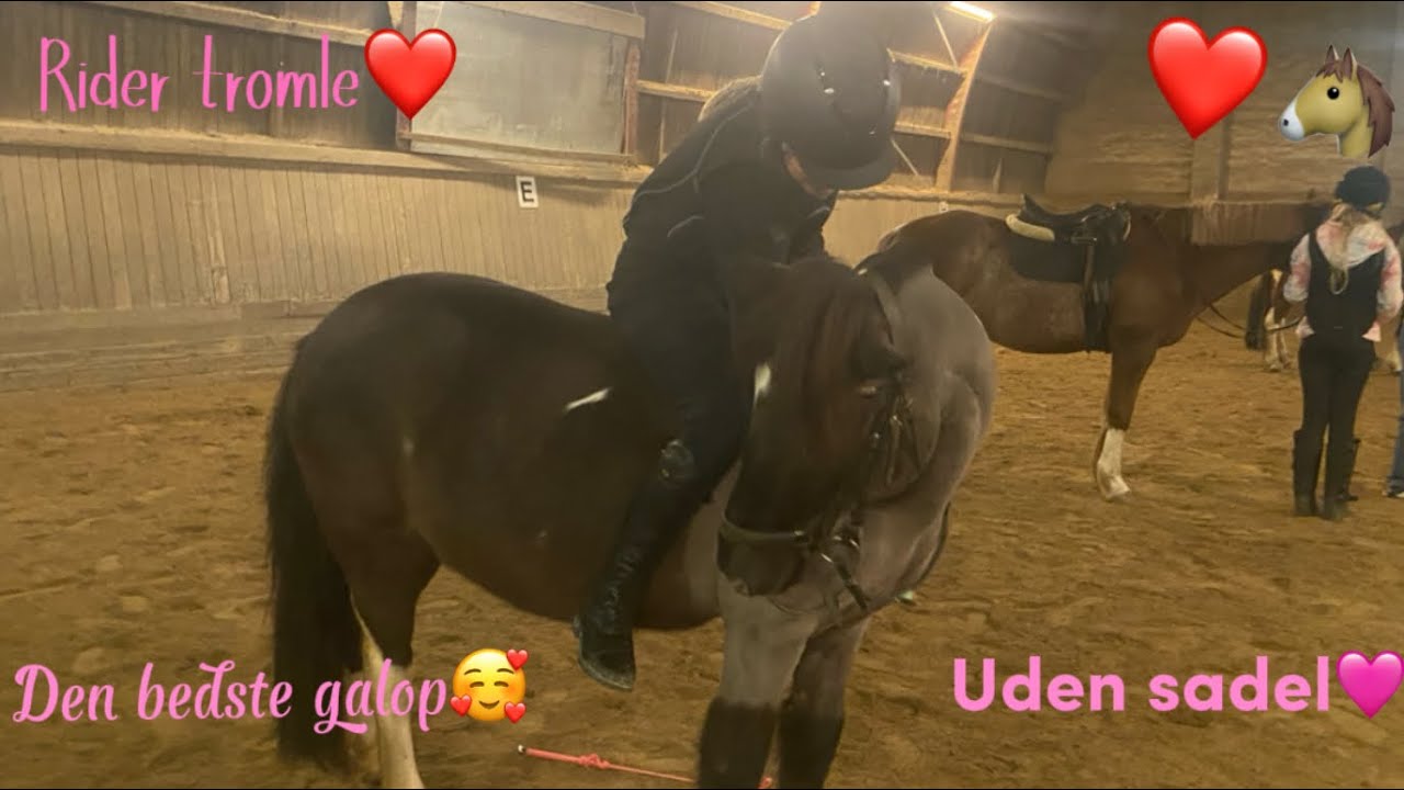 En helt normal ridetime med mig❤️🐴