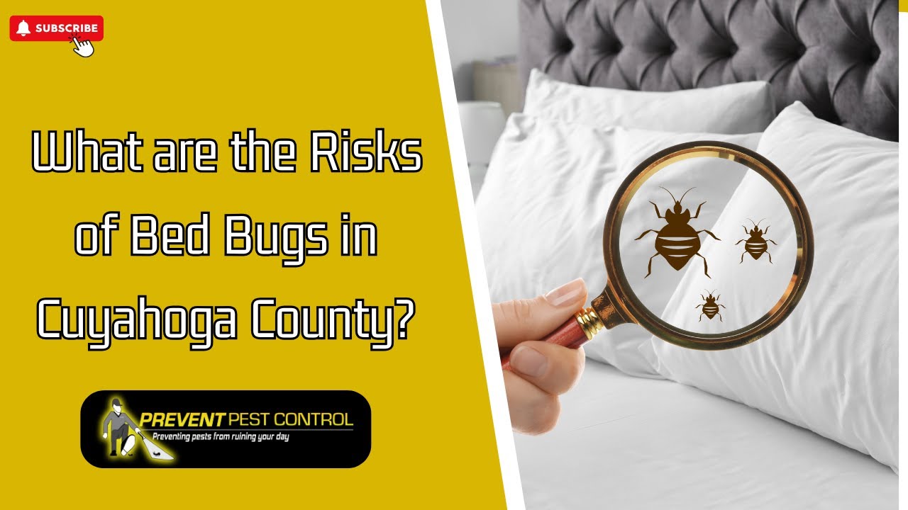 What are the Risks of Bed Bugs in Cuyahoga County?