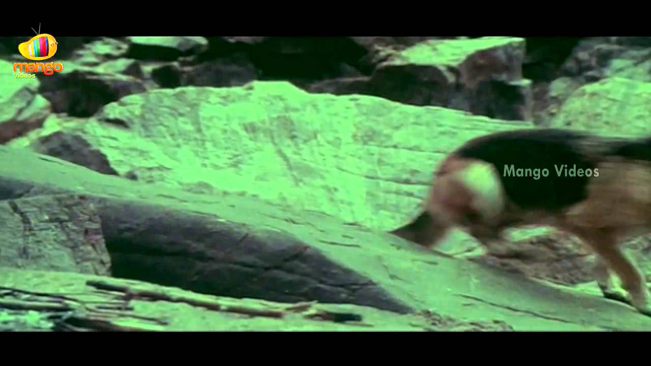 Nireekshana telugu full movie - Part 8/9 - Bhanu Chander, Archana