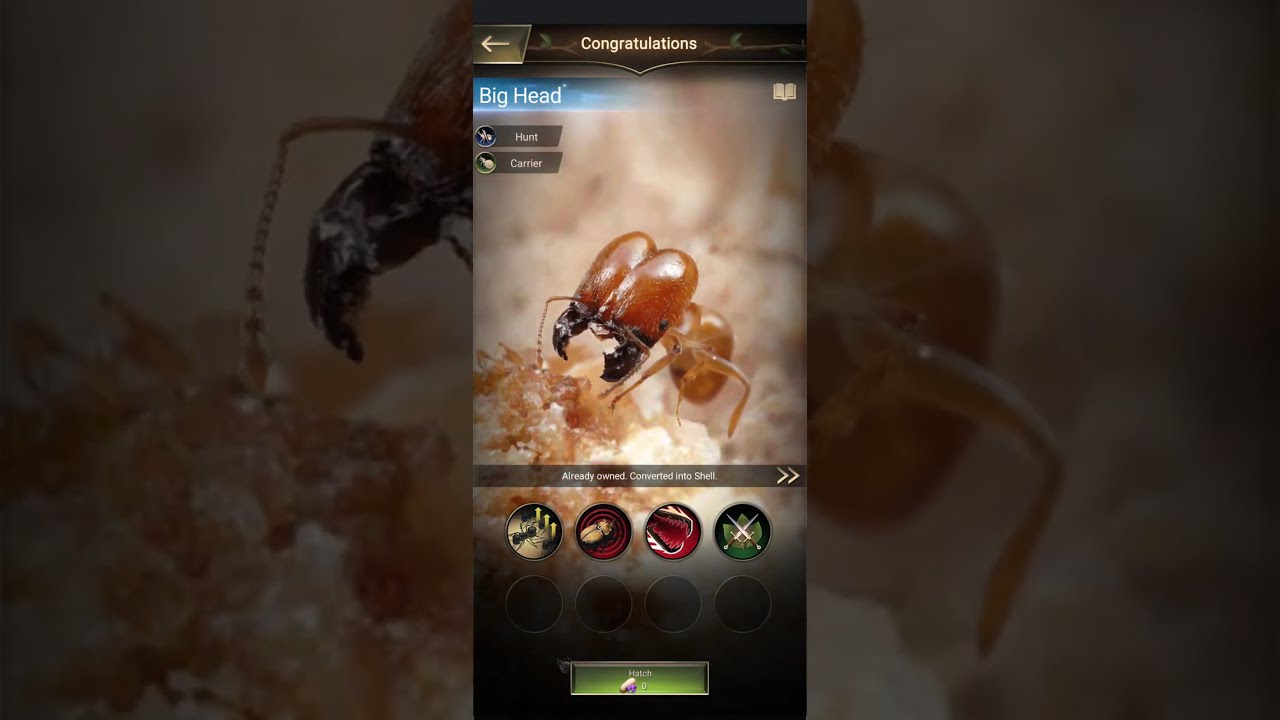 Ants Underground Kingdom | Part 3