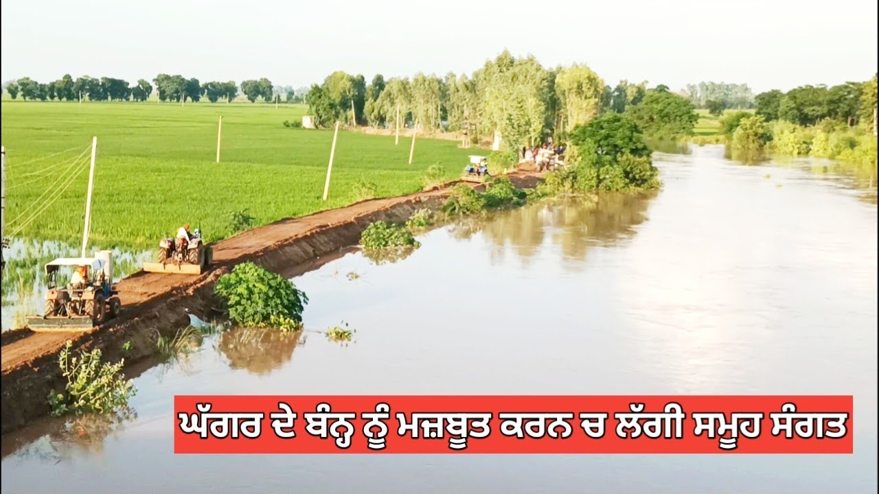 ਸ਼ੁਤਰਾਣੇ ਏਰੀਏ ਚ ਘੱਗਰ ਦਾ ਪਾਣੀ ਲਗਾਤਾਰ ਵੱਧ ਰਿਹਾ । Ghaggar River News Today | Ghaggar update | Ghaggar