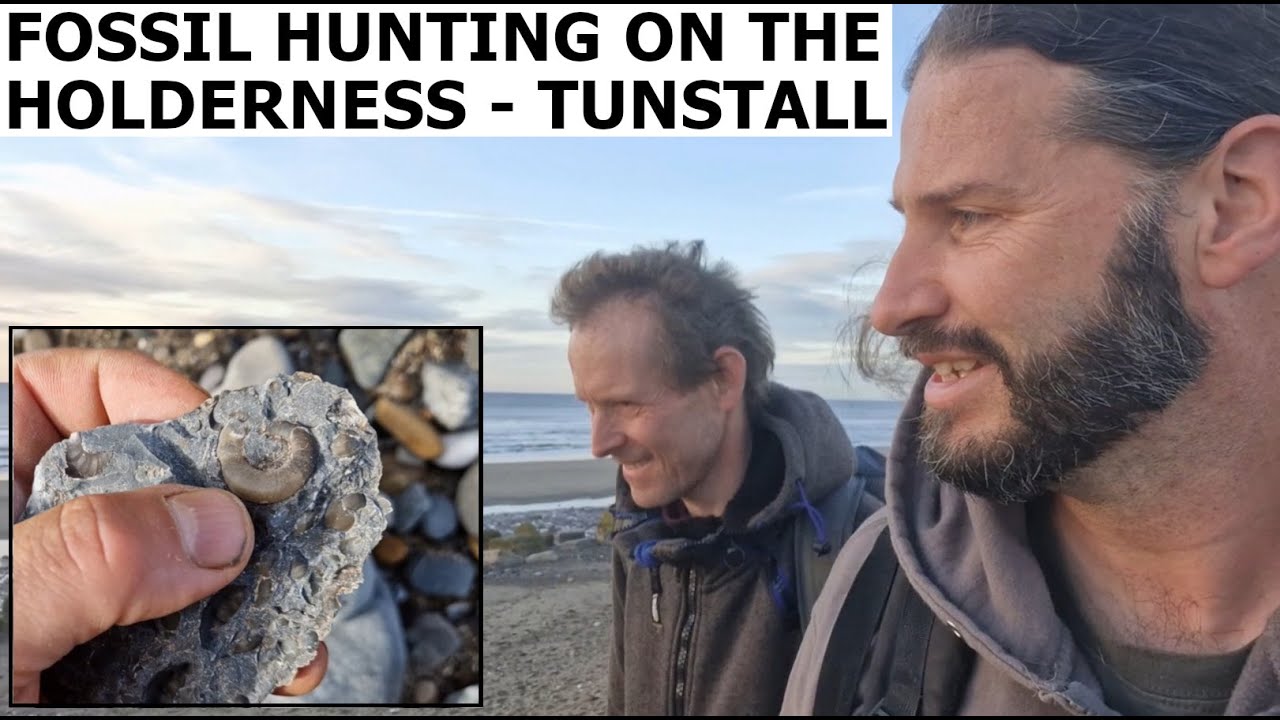 FOSSIL HUNTING ON THE HOLDERNESS COAST - TUNSTALL for #jurassic #fossils