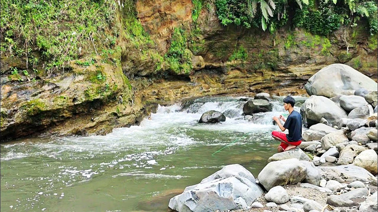 Mantap bgt Spotnya Banyak babon Mahser (Jala Ikan di Sungai)