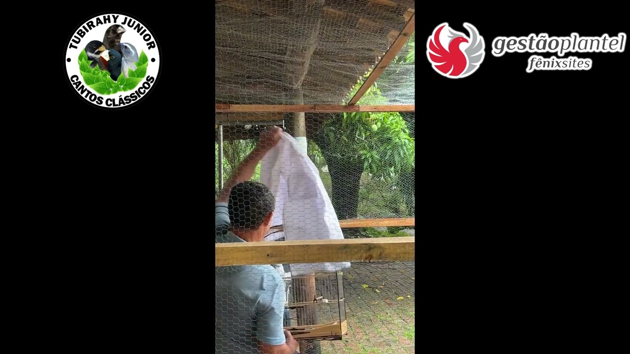 VENCEDORES DO TORNEIO DOS CAMPEÕES - VINHEDO SP - CATEGORIA PRETO
