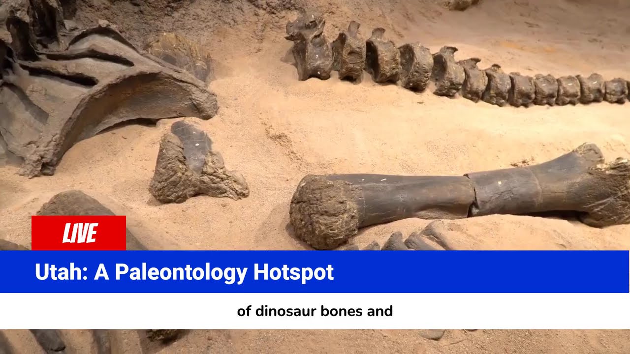 Why Utah Should Be on Everyone&rsquo;s Bucket List 🌄