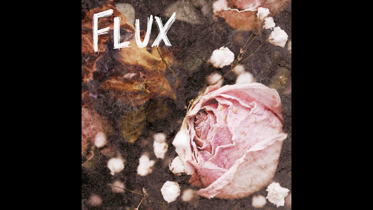 The Little Unsaid - Flux (Reveal Records)