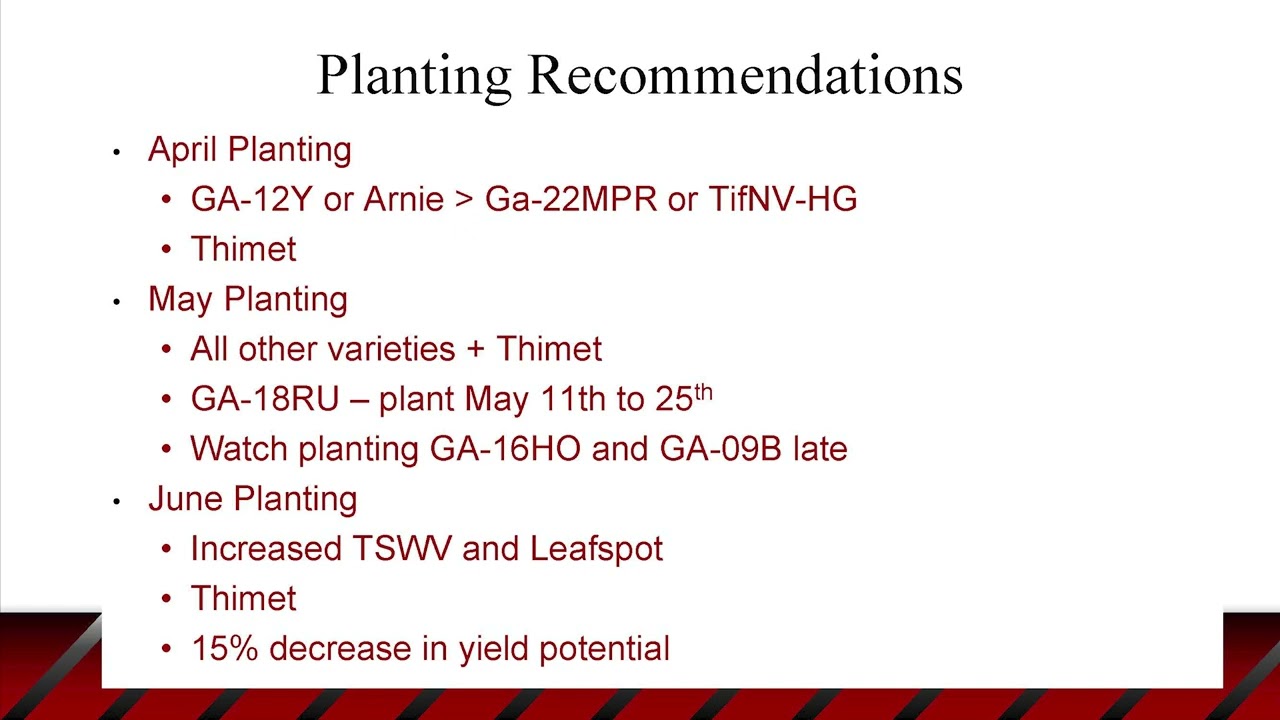 2026 Georgia Peanut Farm Show - Seed Seminar - Dr. Scott Monfort