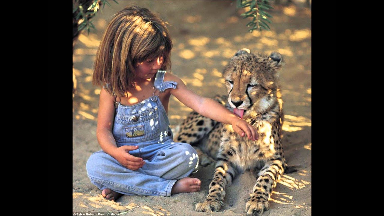Tippi Degré