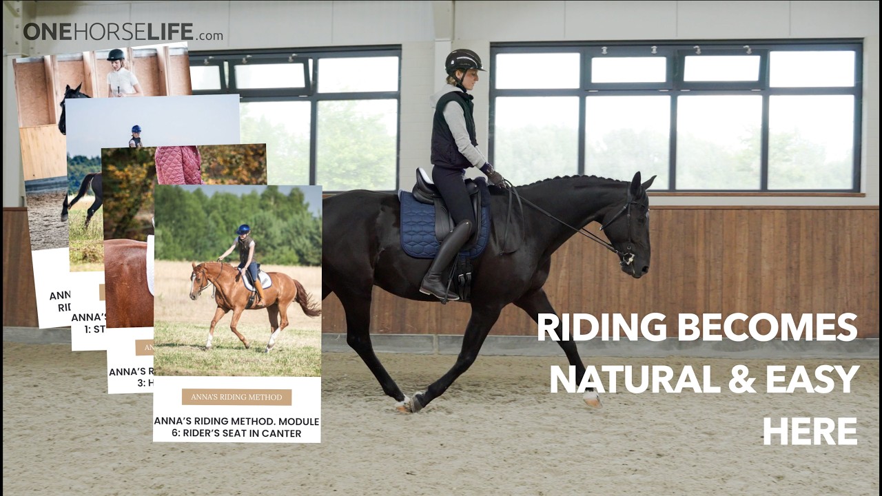 How to Give Your Trot more SWING & BOUNCE? From SUPPLENESS to COLLECTION with a Happy & Eager Horse!
