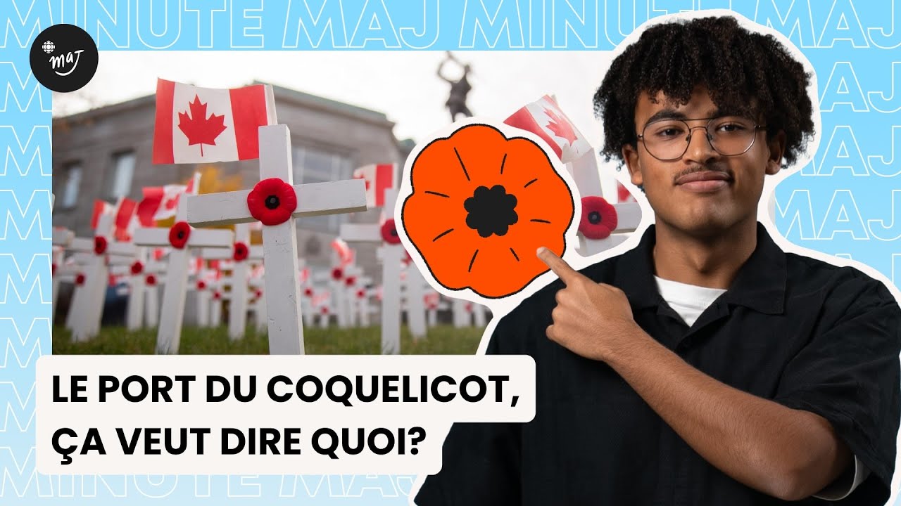 L&rsquo;origine du coquelicot, symbole du jour du Souvenir | Minute MAJ
