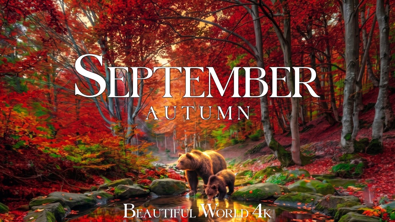 September 4K 🍂 Autumn Begins 🍂 Golden Forests, Quiet Lakes and the First Colors of Fall