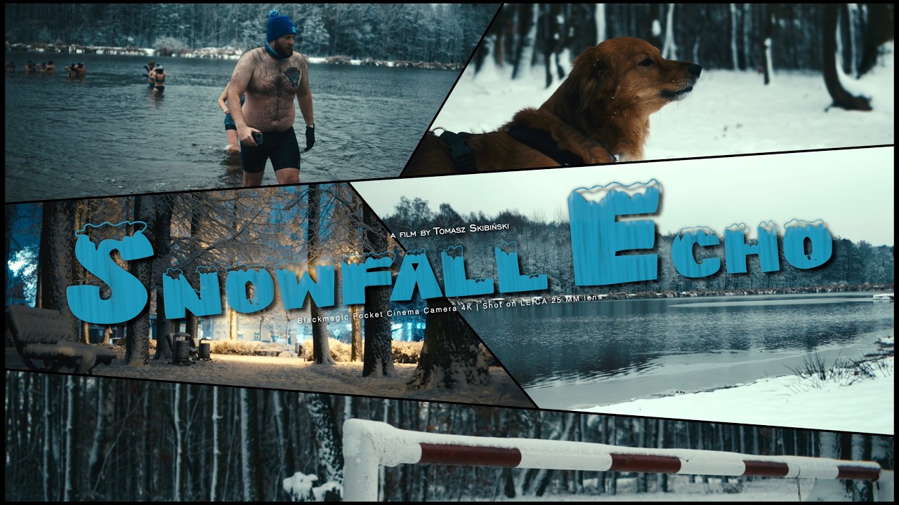 SNØWFALL ECHO ❄ | Winter Cinematic | Snow, Nature & Silence | BMPCC 4K