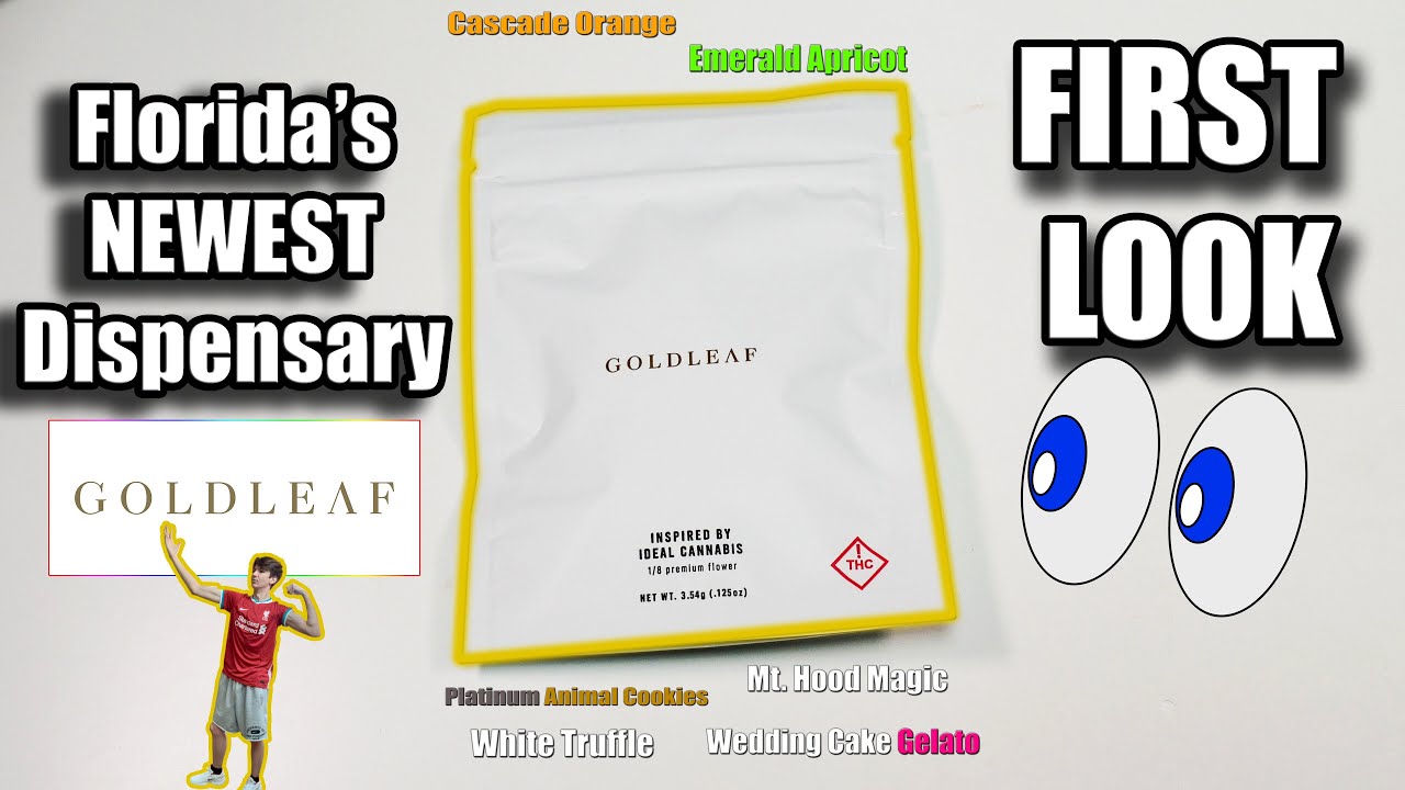THE NEWEST DISPENSARY IN FLORIDA, Goldleaf! White Truffle and more! 🔥 (SIX STRAINS) First look 👀
