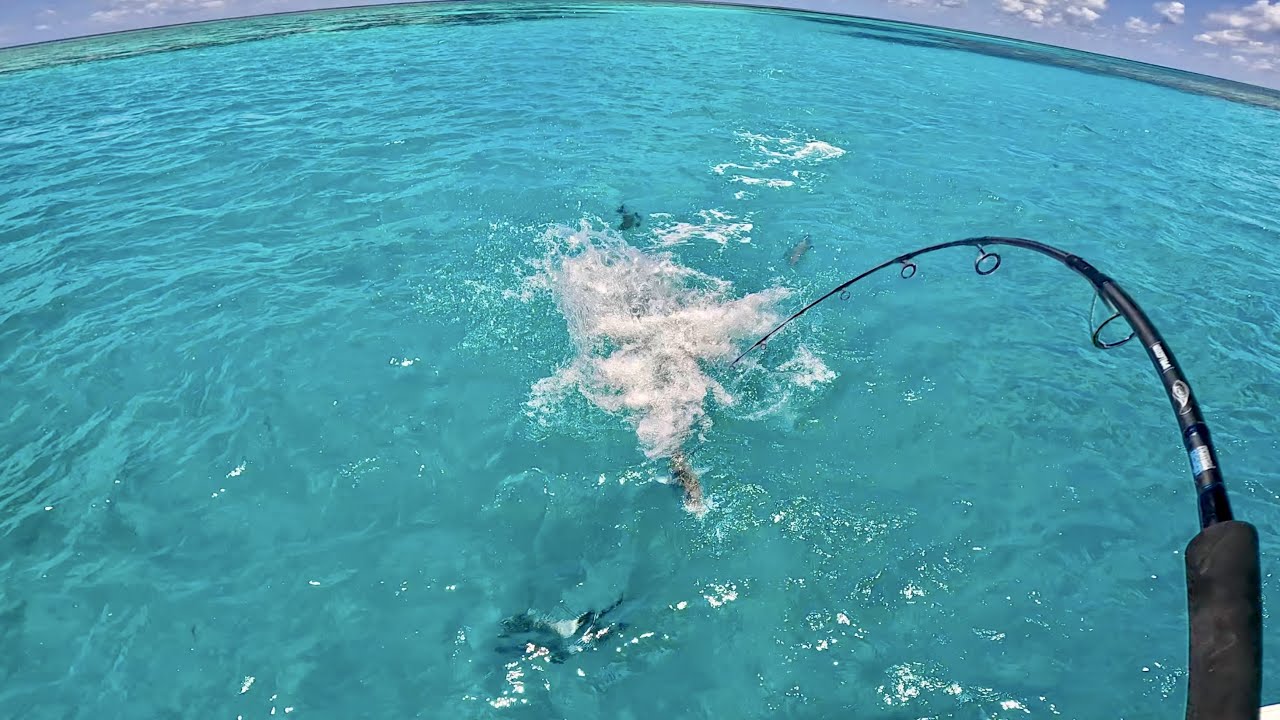 SOLO Exploring INSANE FISHING