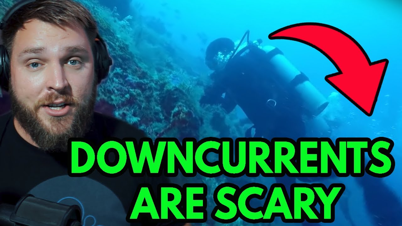 Rebreather Instructor Reacts to 