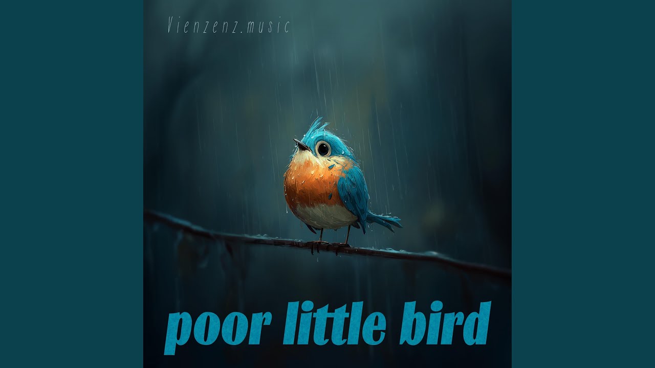 poor little bird
