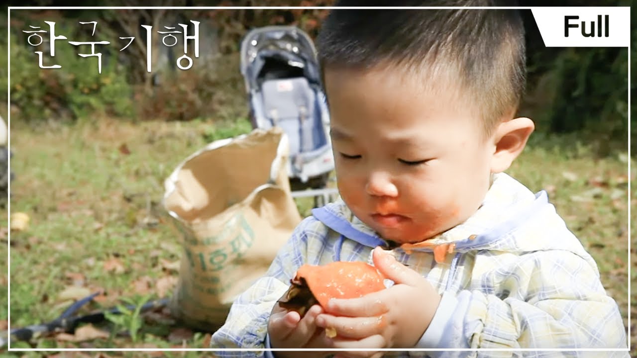 [Full] 한국기행 - 가을 속리산 4부 산으로 온 사람들 20131121