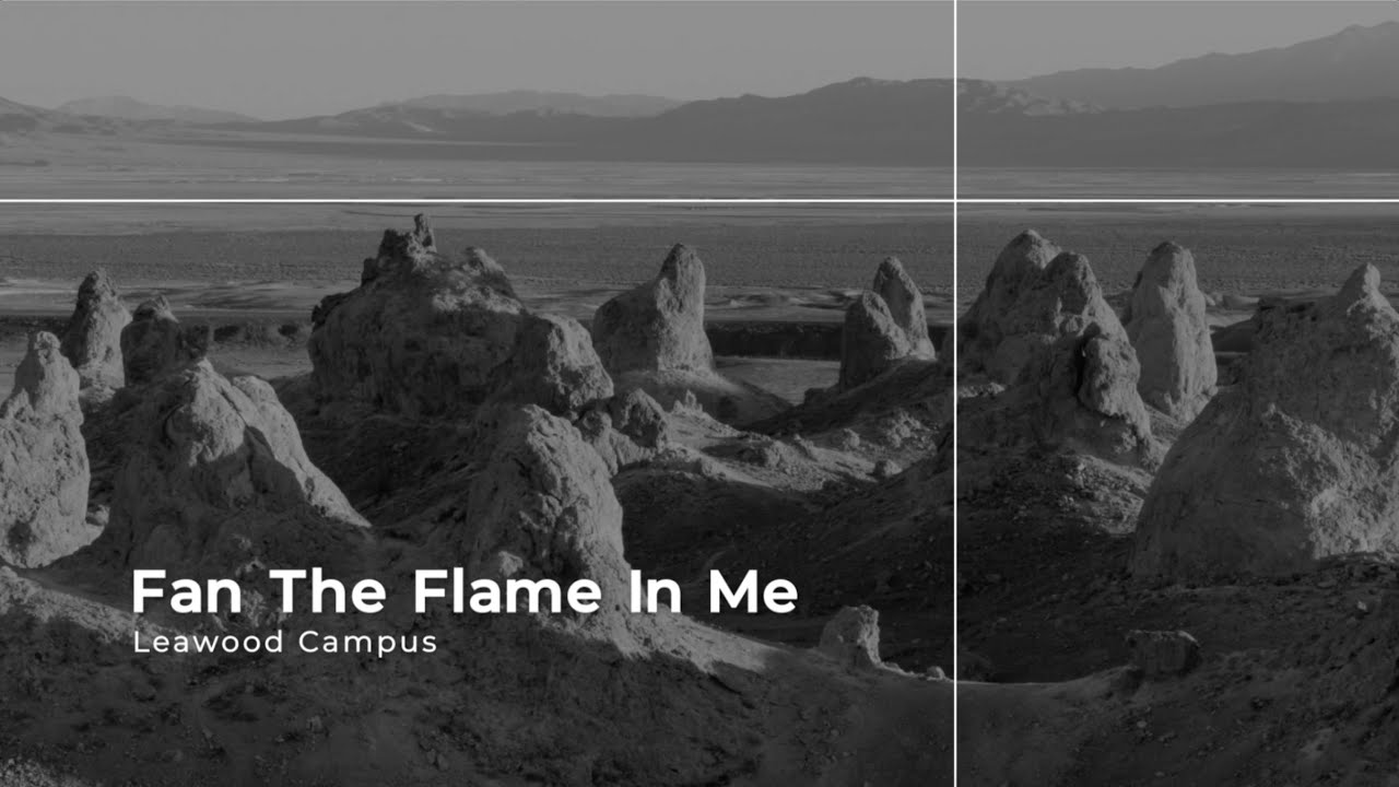 Fan the Flame In Me / Leawood