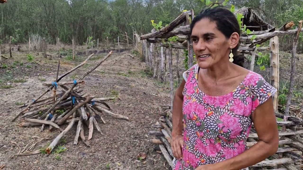 UMA RÁPIDA VISITA A CASA DA FAMÍLIA JATOBA VEJA 