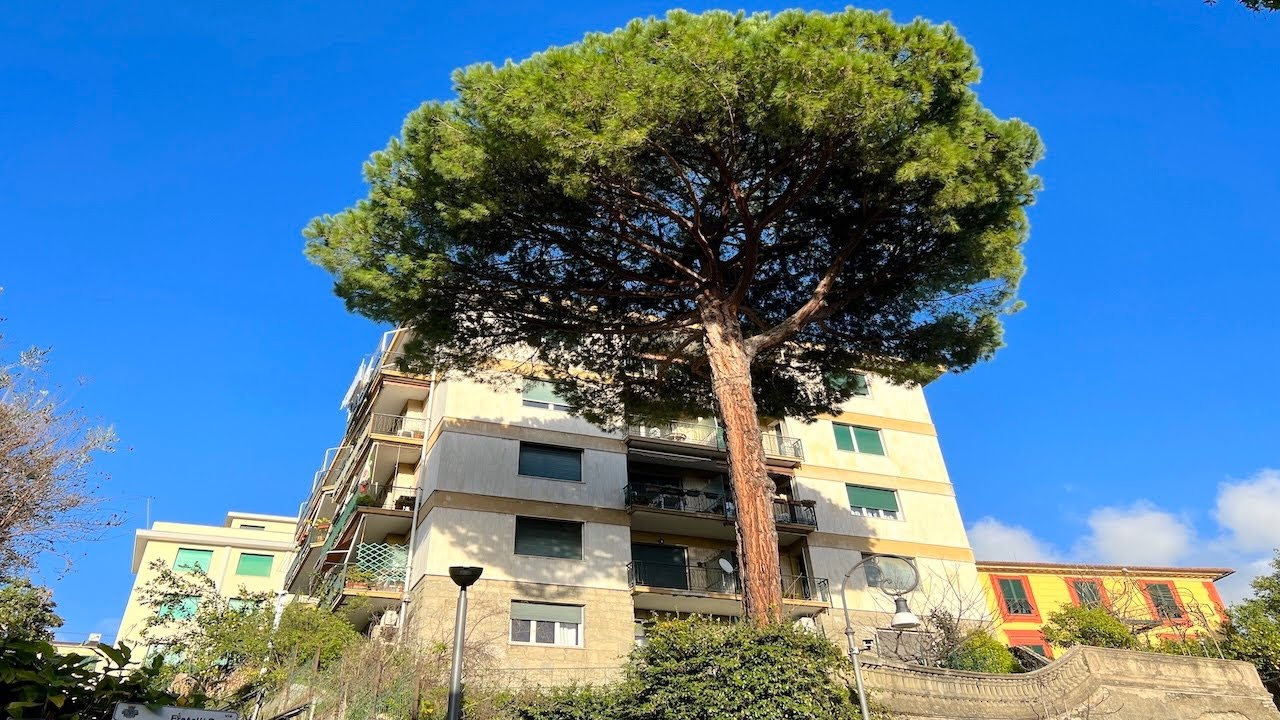 751 Rapallo appartamento 3 camere in centro posto auto