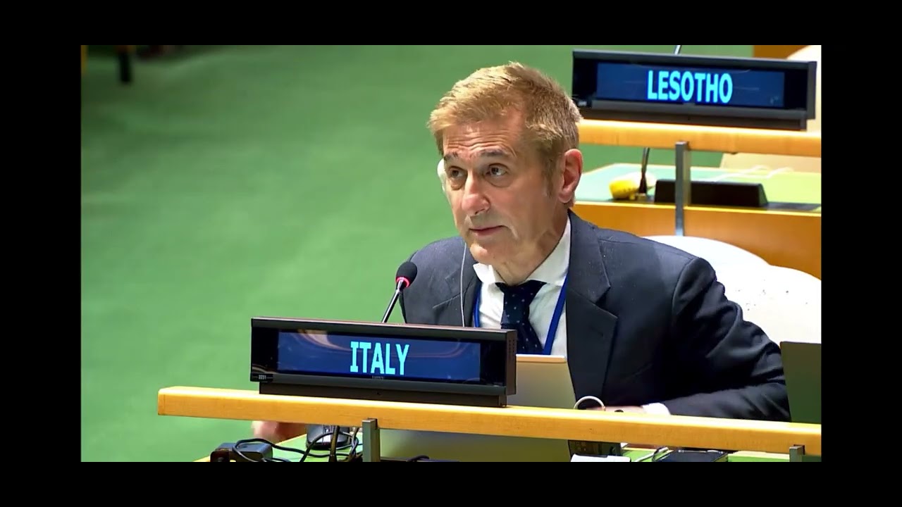 XI Review Conference of the Non-proliferation Treaty (NPT)