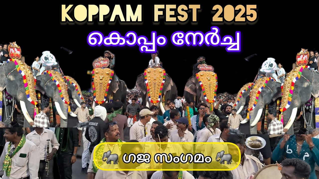 🐘കൊപ്പം നേർച്ചക്ക് കൊമ്പന്മാർ അണിനിരന്നപ്പോൾ 🐘 വരവുകളും, ഗജമേളയും | KOPPAM FEST 2025