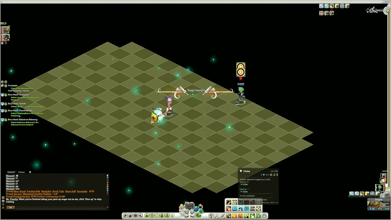 Wakfu Rogue T3 Punchy Kill solo