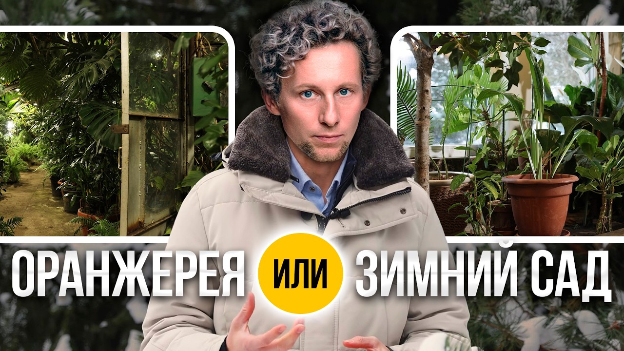 Зимний сад vs оранжерея: ошибка, на которой люди теряют сотни тысяч (честный разбор от L.BURO)