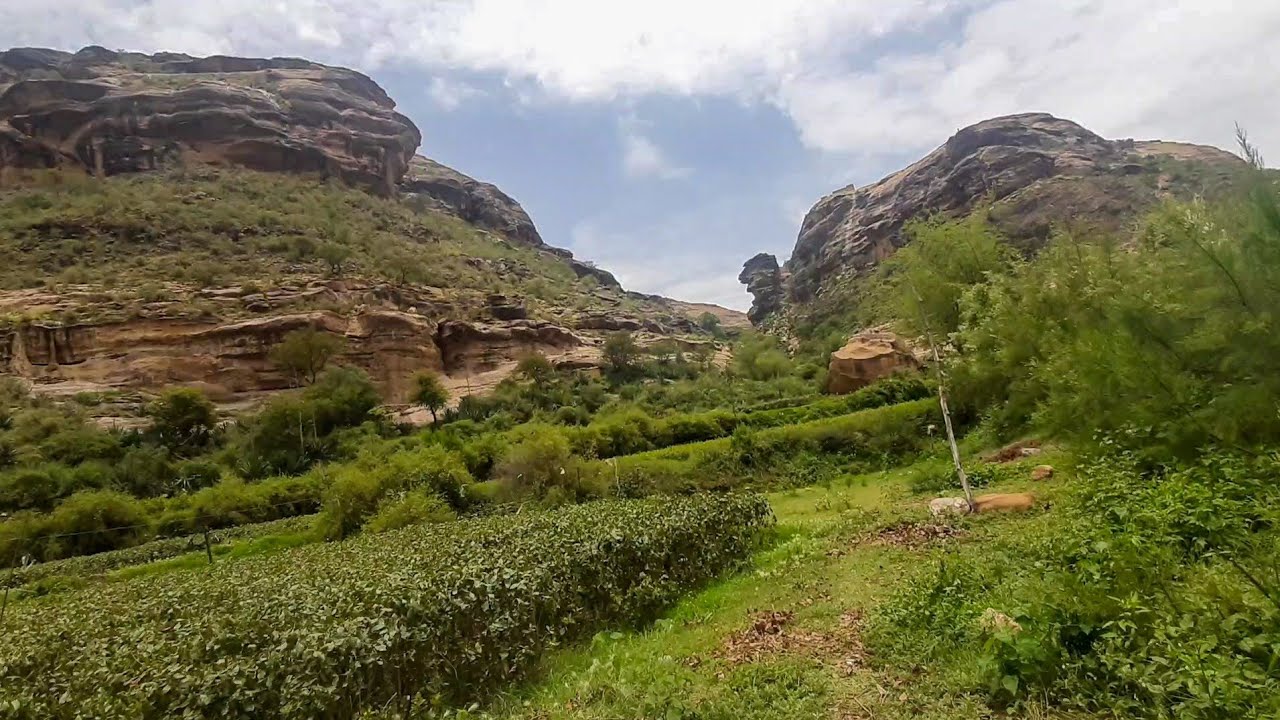 الدخول من دمت إلى مريس عبر طريق الجبهة بسبب استمرار قطع الطريق العام.