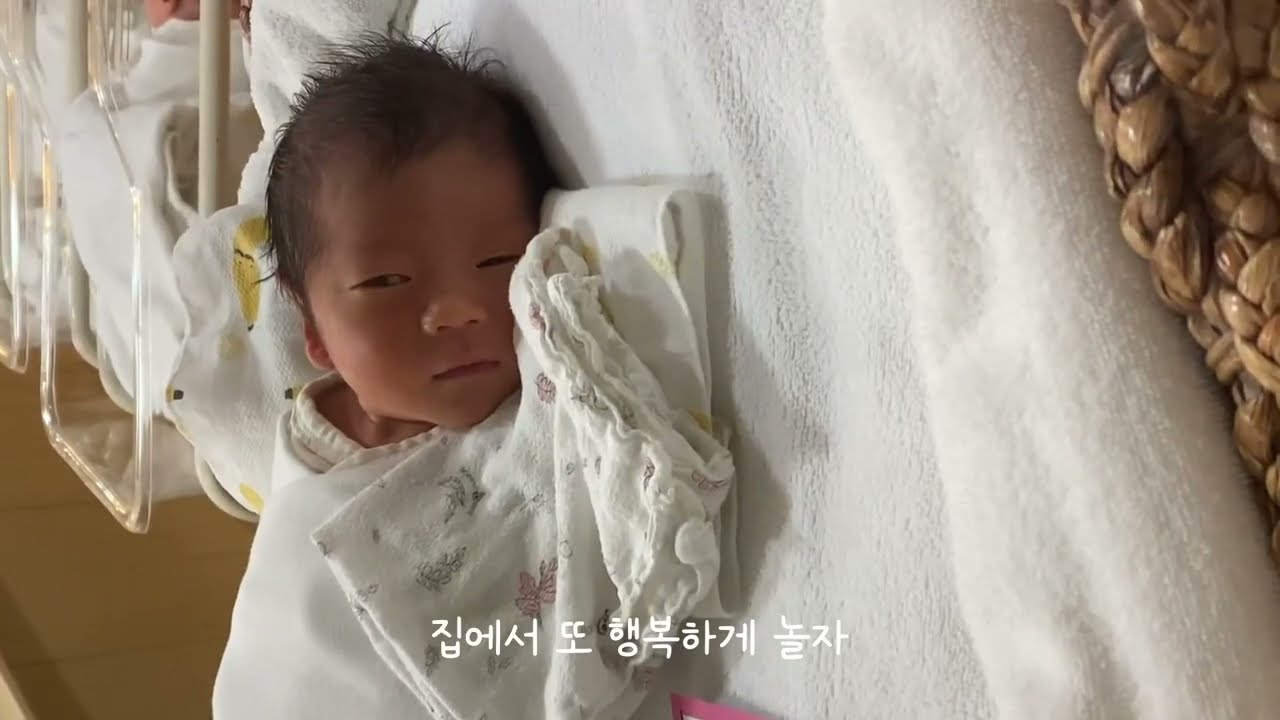20230613 조이탄생