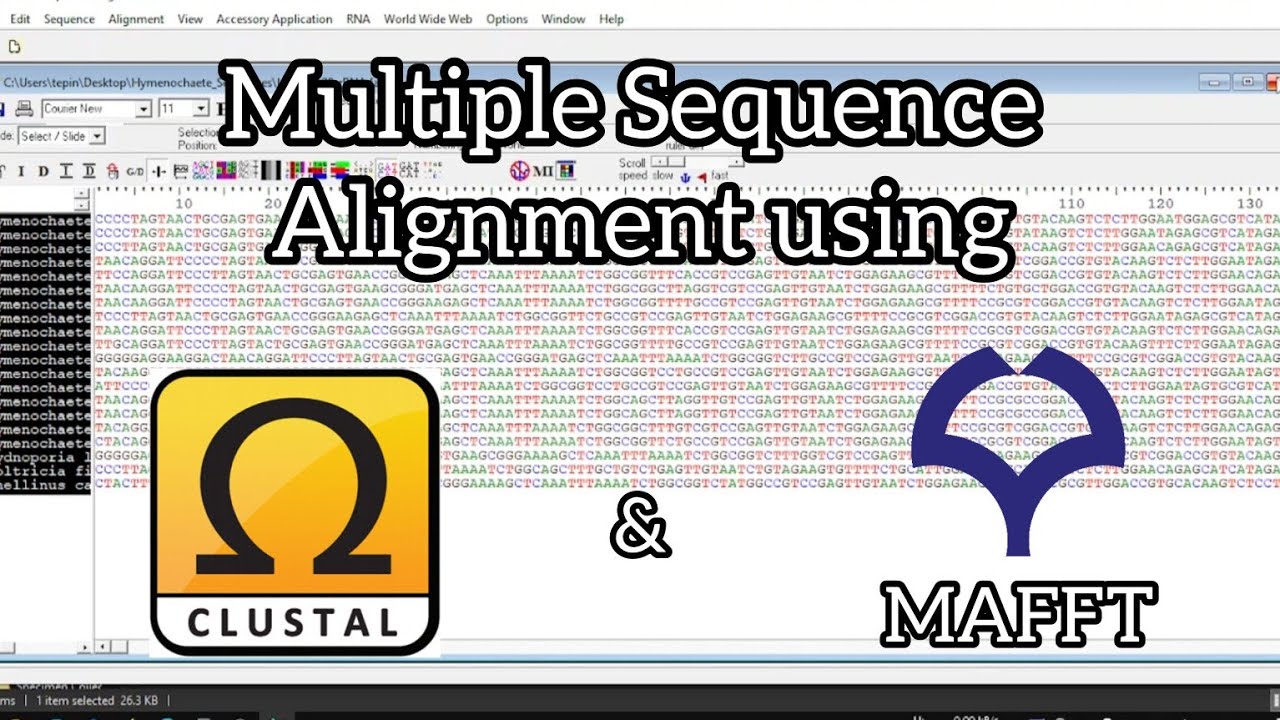 2# - Multiple DNA Sequence Alignment - Clustal and MAFFT