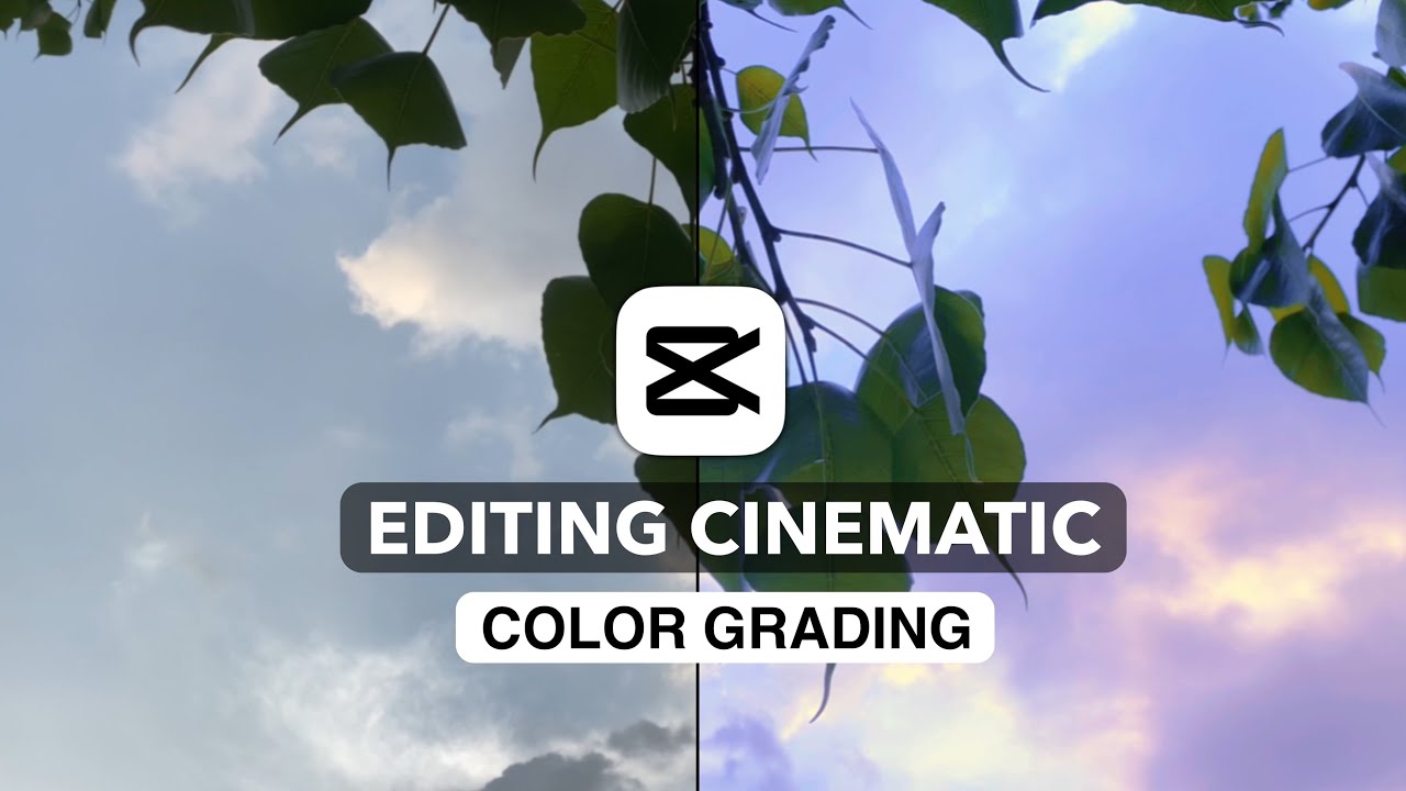 Capcut Color Grading Tutorial | How to use Graph in Capcut | Cinematic Color Grading | GoTharu