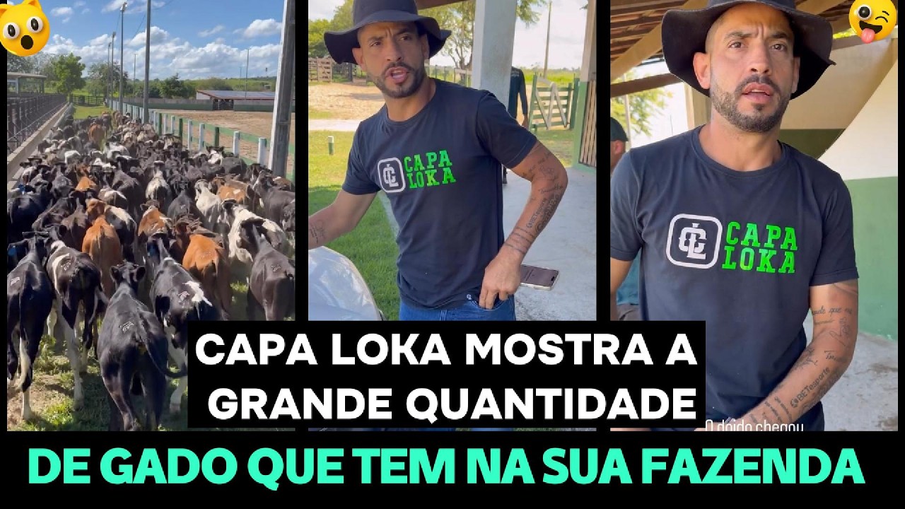 CAPA LOKA MOSTRA A GRANDE QUANTIDADE DE GADO QUE TEM NA FAZENDA VILA CAPA LOKA