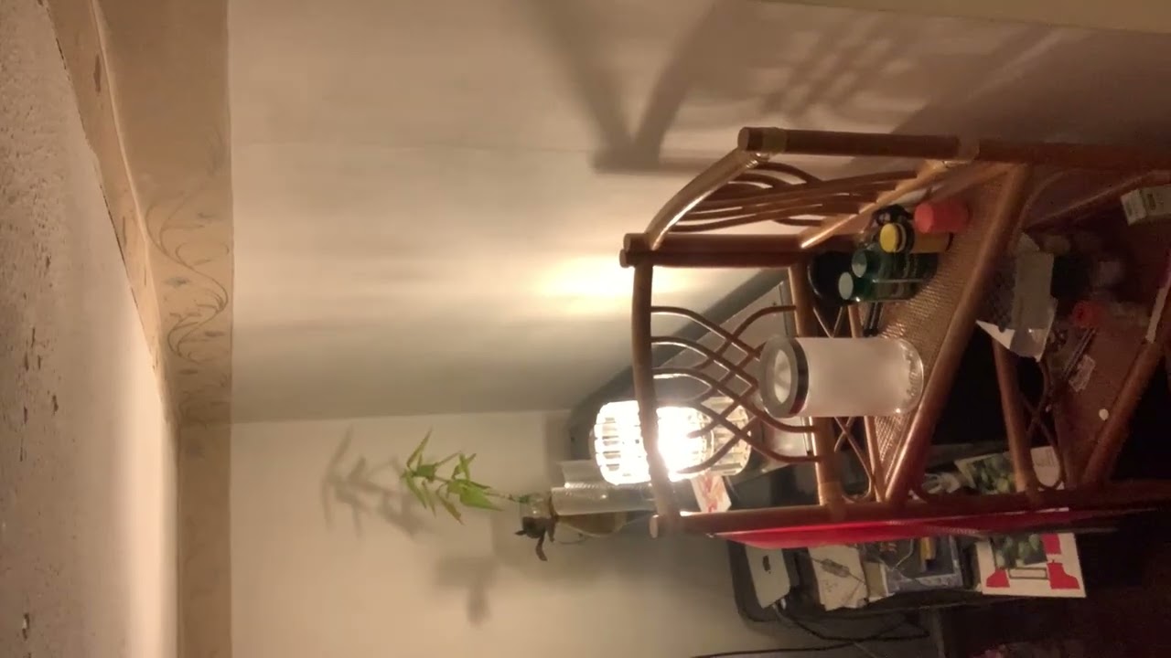 ***4320. 01:02 26 JAN 2026 01:48 HAMMERING MY CEILING