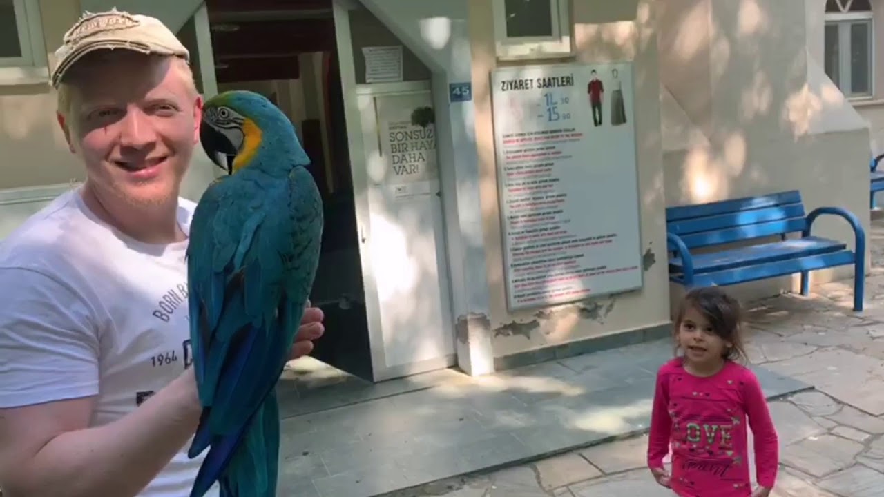 PAŞA'NIN DOĞASINA GİTTİK🦜
