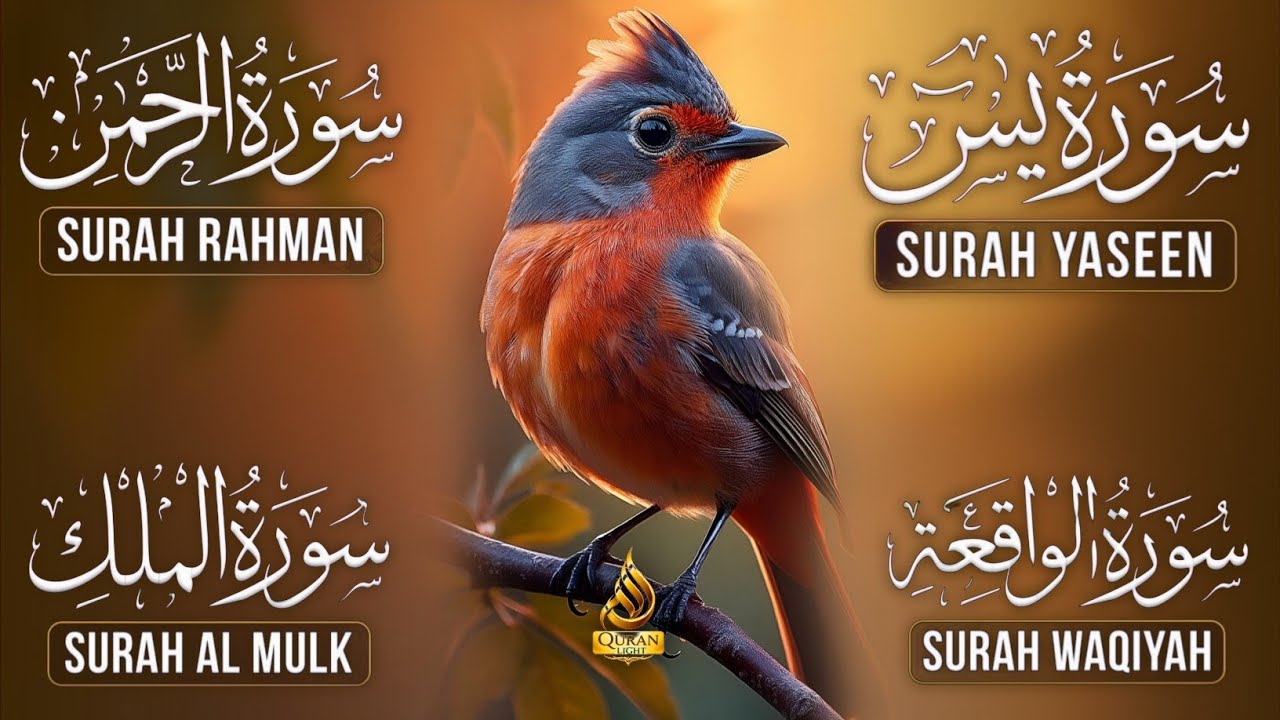 Very Nice Voice Surah Yaseen | Surah Rahman | Surah Waqiah | Surah Mulk l Reciter Ashraf Hussain 007