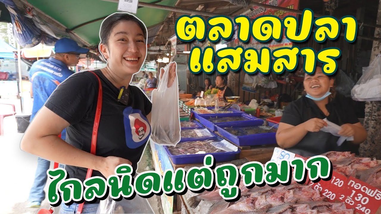 ตลาดปลาแสมสาร อาหารทะเลสดจริง ถูกจริงจากชาวประมง I กู๊ดเดย์ ชลบุรี I Samaesan Fish Market