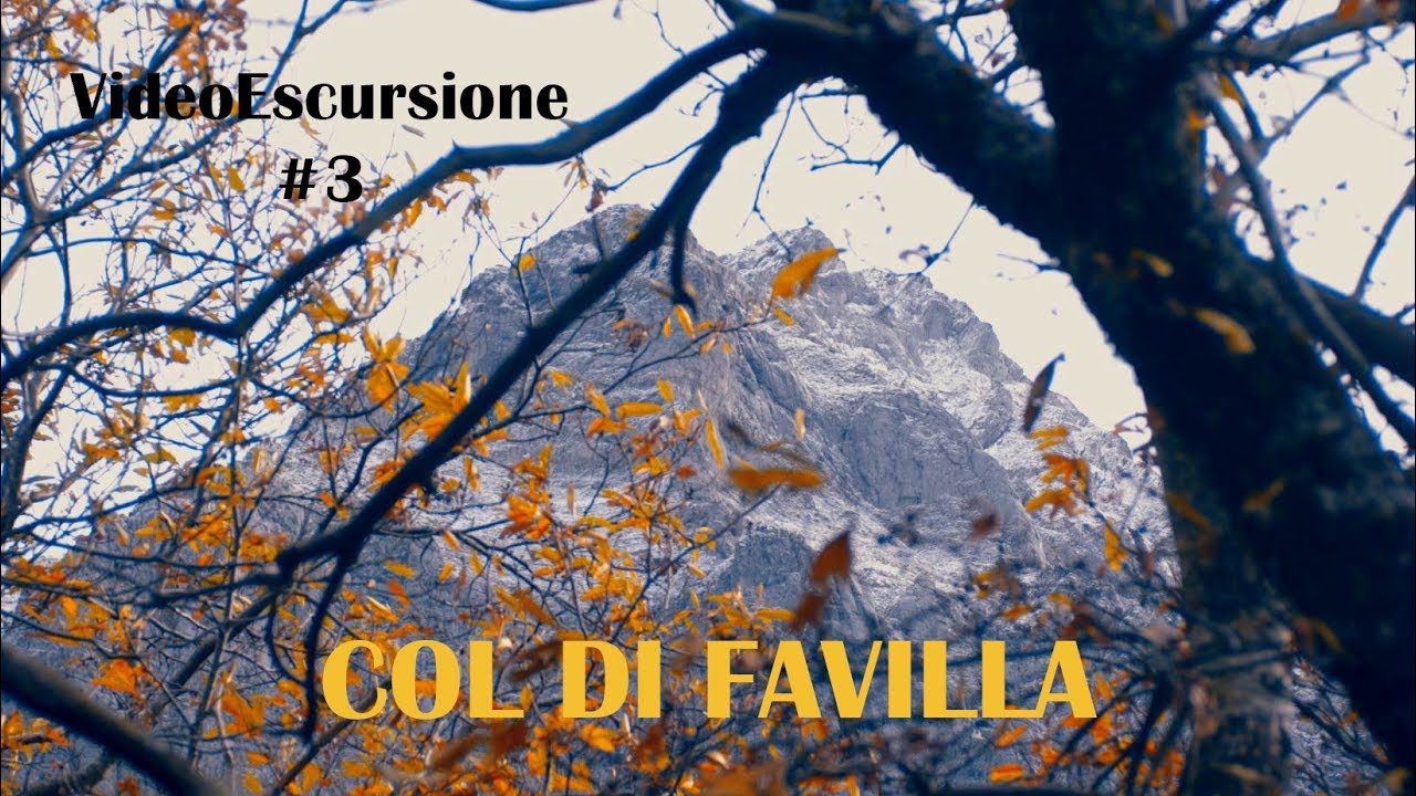 Col di Favilla 4K - VideoEscursione#3