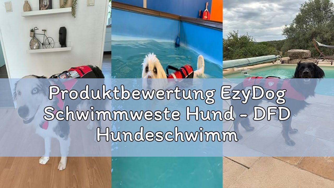 Produktbewertung EzyDog Schwimmweste Hund - DFD Hundeschwimmweste - Schwimmwesten für für Kleine, Mi