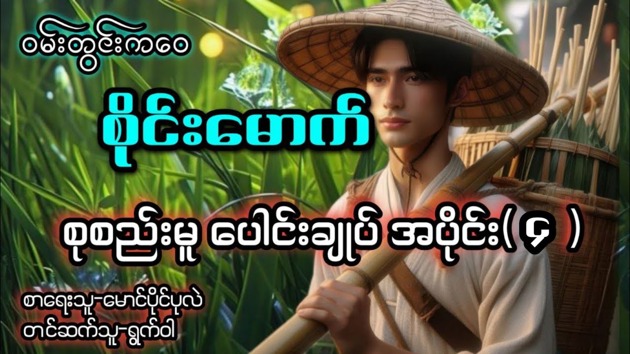 ဝမ်းတွင်းကဝေစိုင်းမောက် စုစည်းမူ ပေါင်းချုပ် /အပိုင်း(၄)