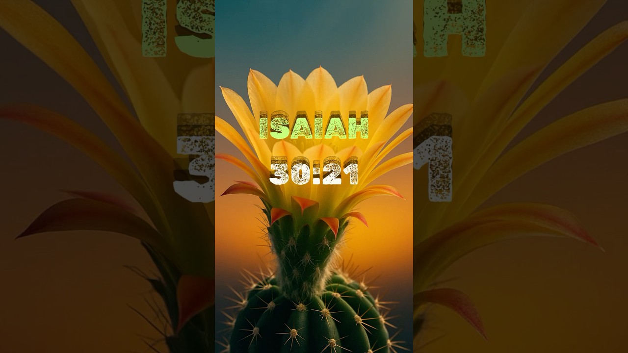 A Prayer for When You Need to Hear God's Voice 🧭 | Isaiah 30:21