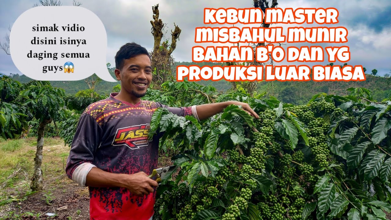 kebun petani muda luar biasa 😱 misbahul munir penyimpanan bahan B'0 mari belajar