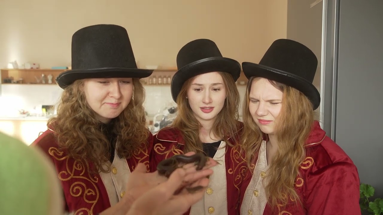 Maturitní video - The Greatest Showman Bigy