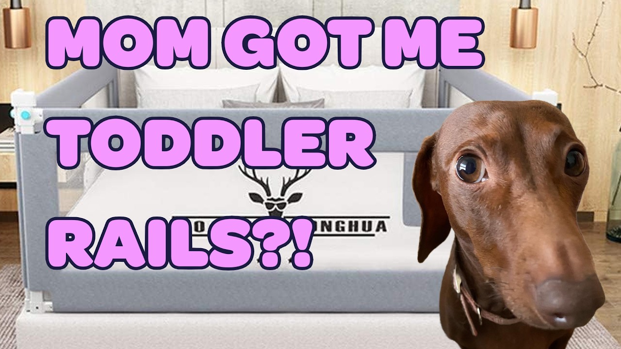 My Dog Needs Toddler Rails! No Daschounds Jumping On The Bed