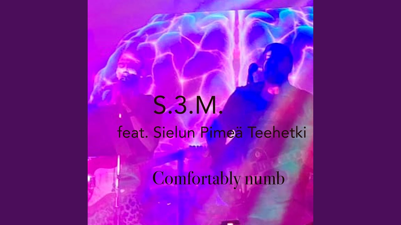Comfortably numb (feat. Sielun Pime&auml; Teehetki)